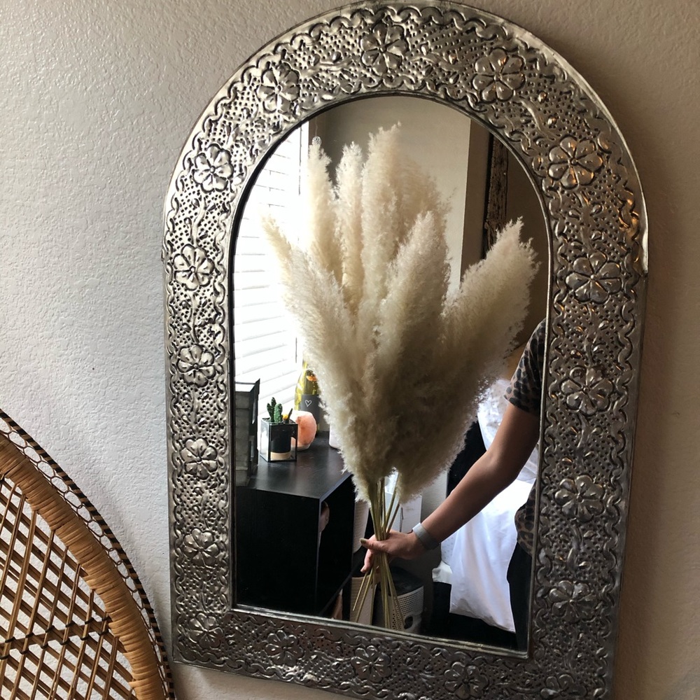 Boho pampas grass stems (6 stems)